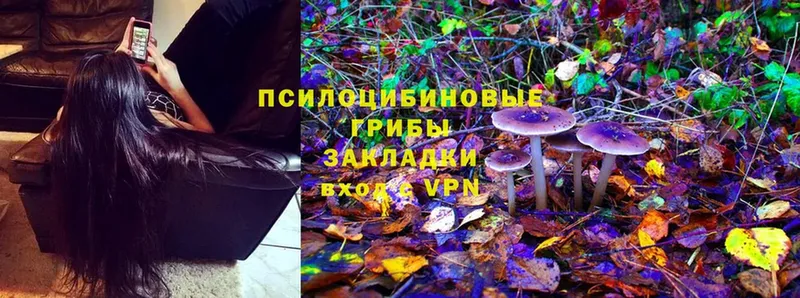 где купить наркоту  блэк спрут как зайти  Галлюциногенные грибы Magic Shrooms  Невинномысск 